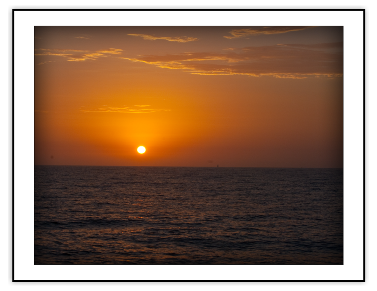Dolphin Sunset